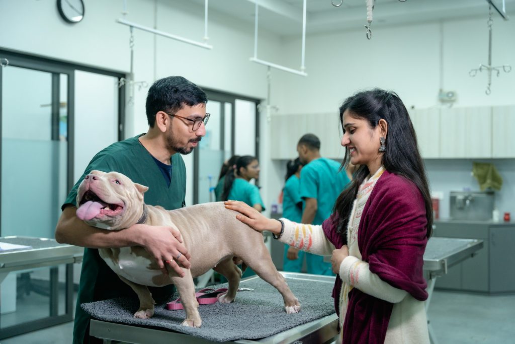 Fisioterapeuta de animais em Brasília