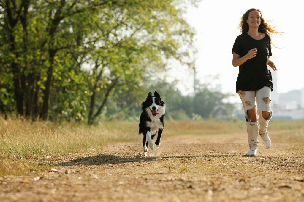 Qual o valor da fisioterapia veterinária? Média de gastos