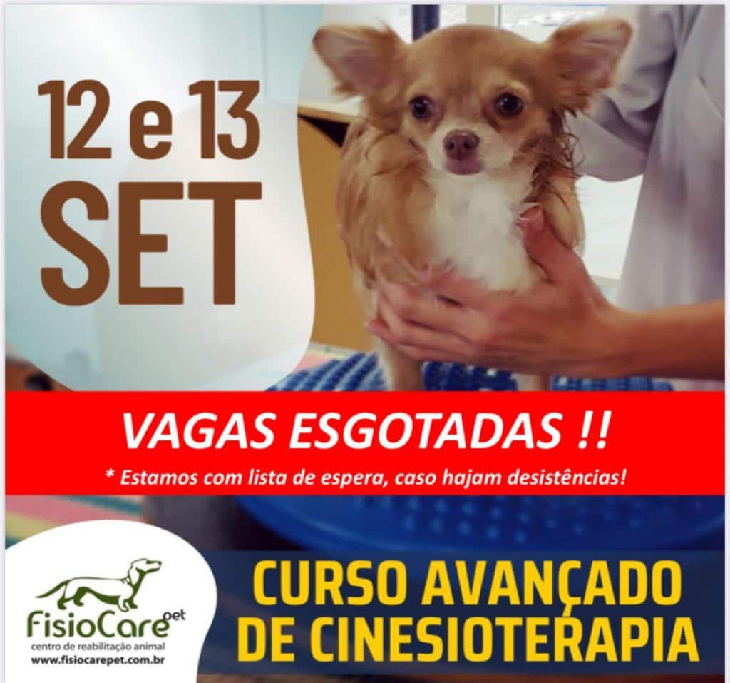 Fisioterapia Hospitalar - ✓ Curso de Cinesiologia Fala pessoal, beleza? Vim  aqui avisar vocês que o Centro Educacional Sete de Setembro está lançando  um curso gratuito de Cinesiologia Para se inscrever, entre