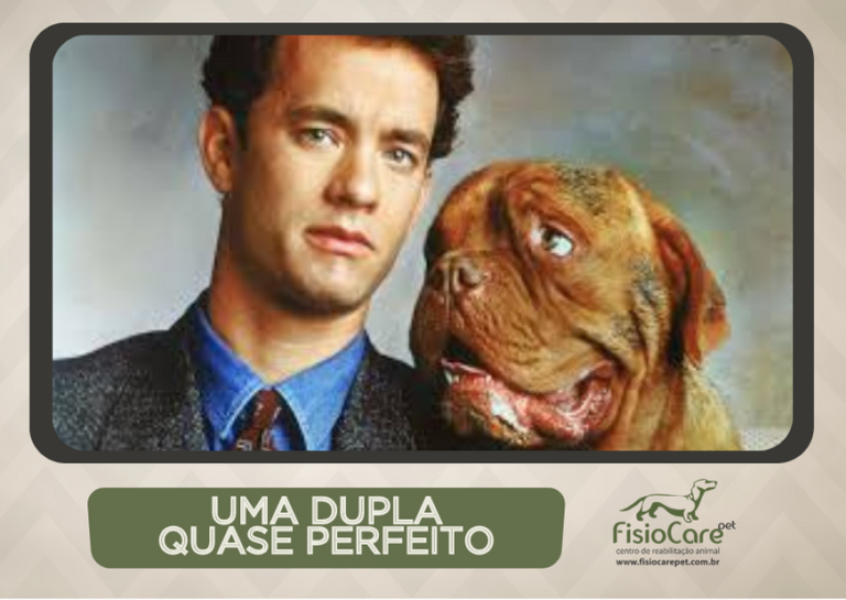 Filmes De Cachorro Filmes Inesquec Veis Fisio Care