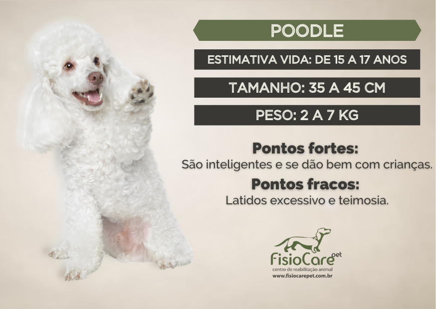 Cachorro de Guarda: Quais as Melhores Raças - Fisio Care Pet - Centros de  Reabilitação Animal