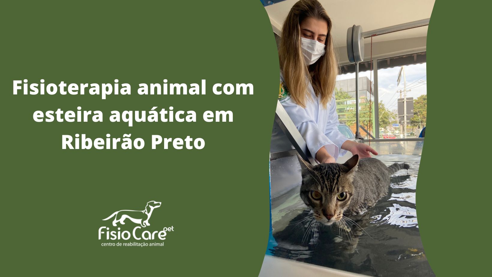 Fisioterapia Animal com Esteira Aquática em Ribeirão Preto