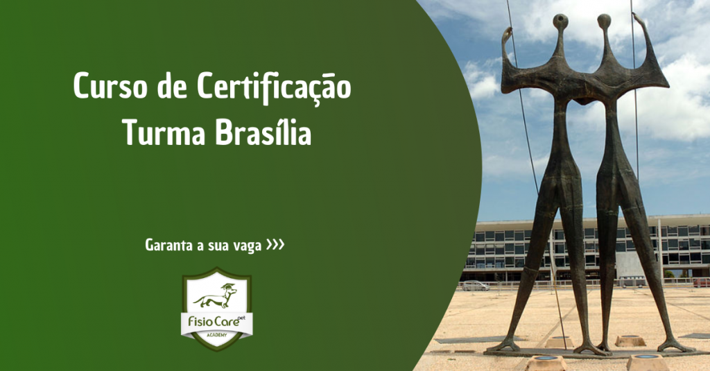 Curso de Certificação em Fisioterapia Veterinária - Turma Distrito Federal - Brasília