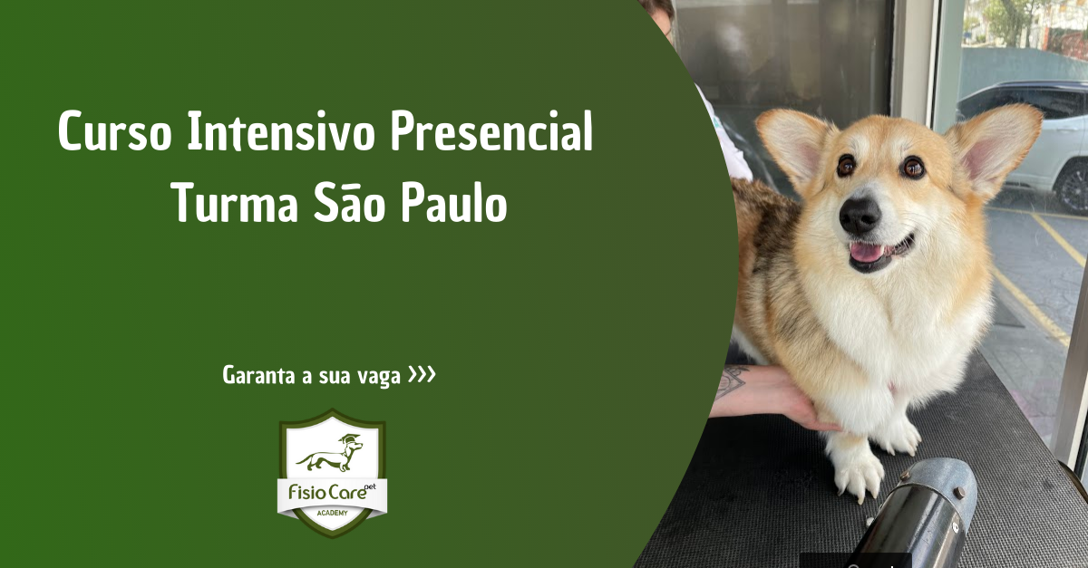 38º Curso Intensivo de Fisioterapia Veterinária - Turma São Paulo (14, 15 e 16 de Abril de 2023)