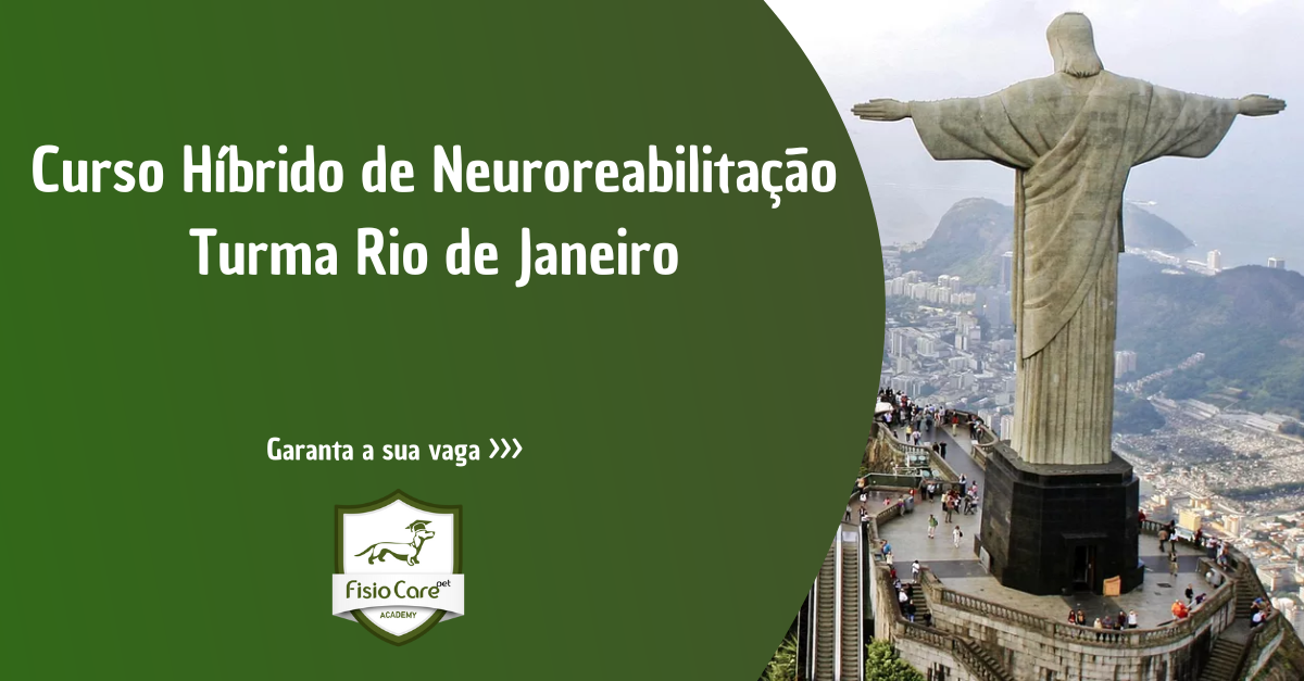 5º Curso Avançado e Híbrido de Neuroreabilitação Animal - Turma Rio de Janeiro - Fisioterapia Veterinária