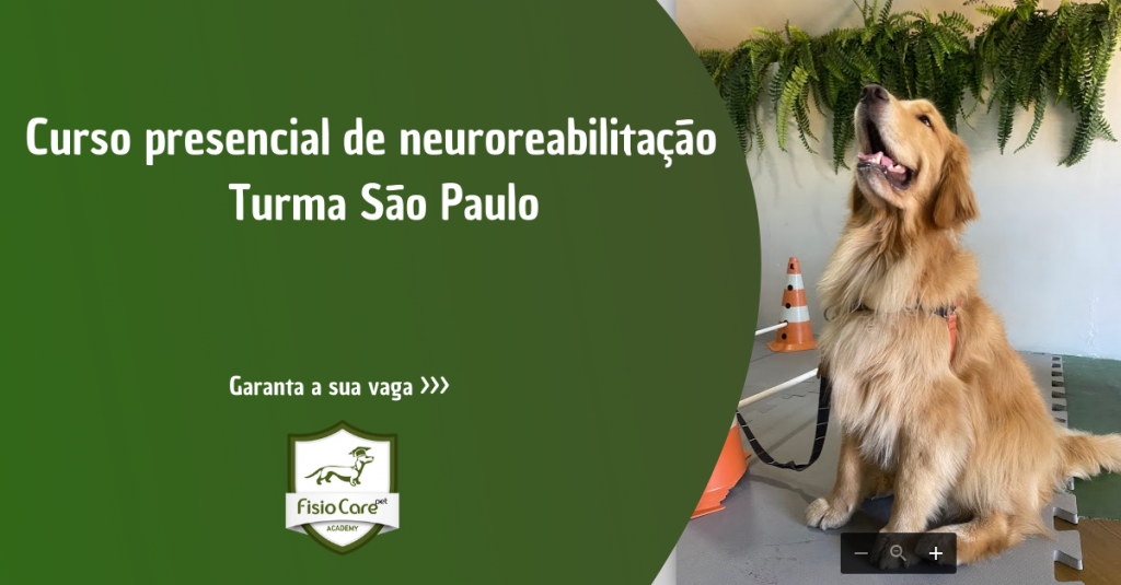 4º Curso Avançado de Neuroreabilitação - Turma São Paulo (03 e 04 de Junho de 2023)