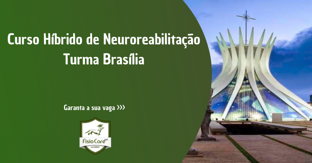 6º Curso Avançado e Híbrido de Neuroreabilitação - Turma Distrito Federal