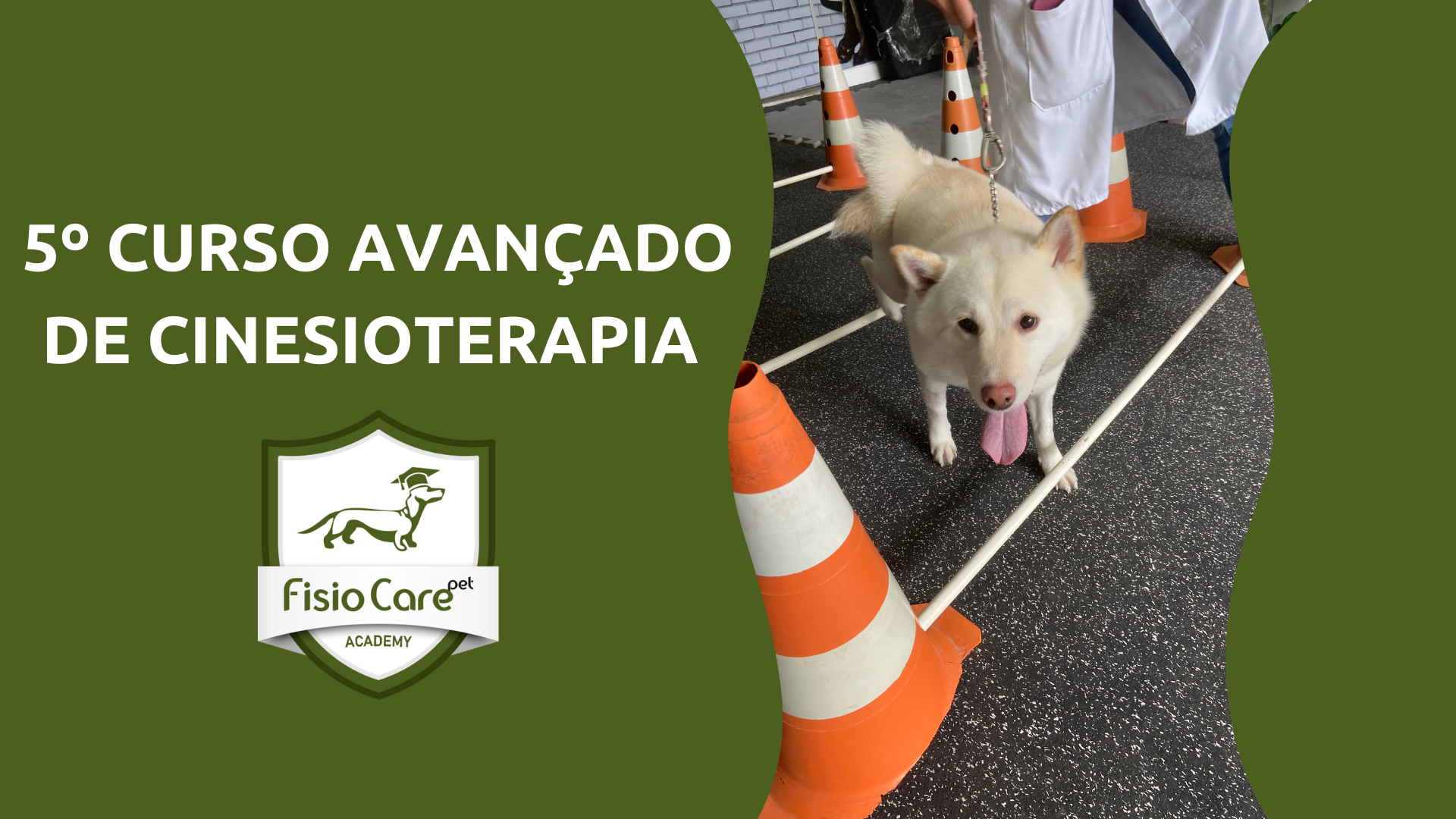 5º CURSO AVANÇADO DE CINESIOTERAPIA - EXERCÍCIOS DE FISIOTERAPIA VETERINÁRIA