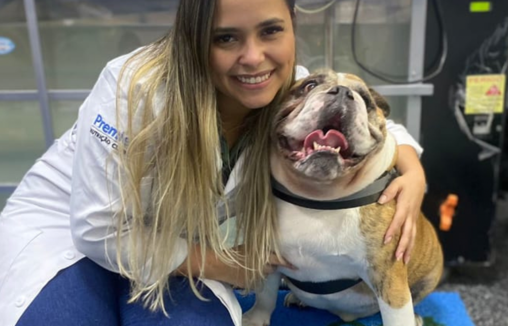 Fisioterapia veterinária pelo plano Pet Love