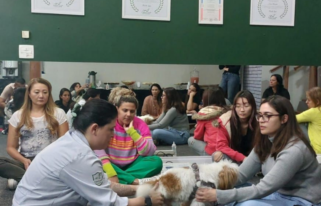 Especialização de fisioterapia e acupuntura veterinária