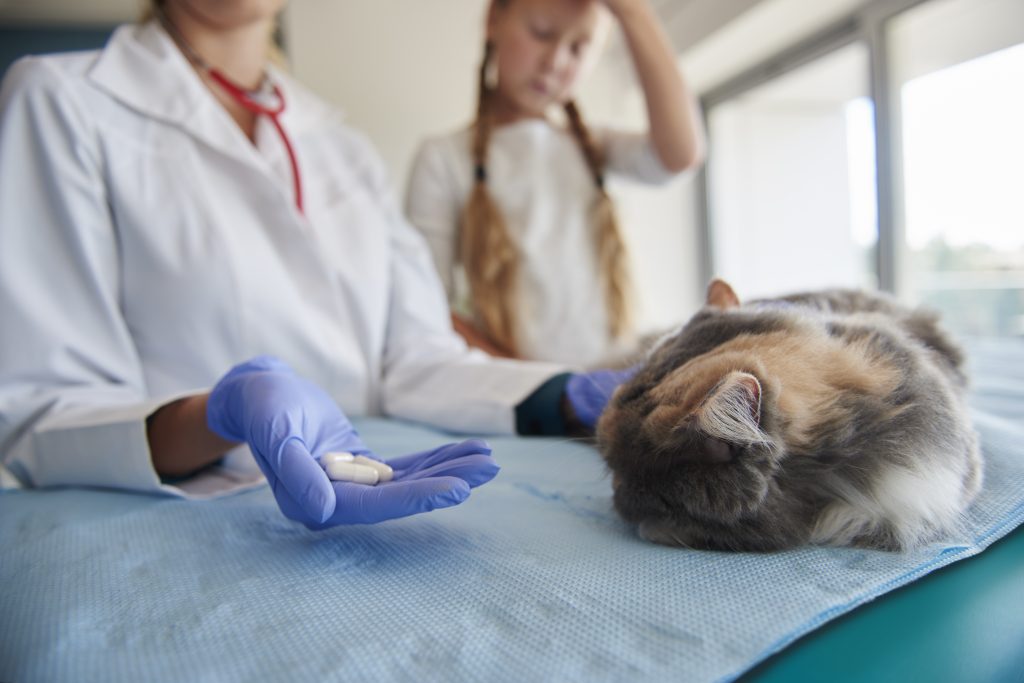 Insuficiência Renal em Animais por Toxinas