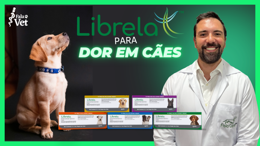 Librela funciona para tratar a dor em cães com artrose?