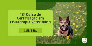 13 Curso de Certificação em Fisioterapia Veterinária Híbrido Curitiba