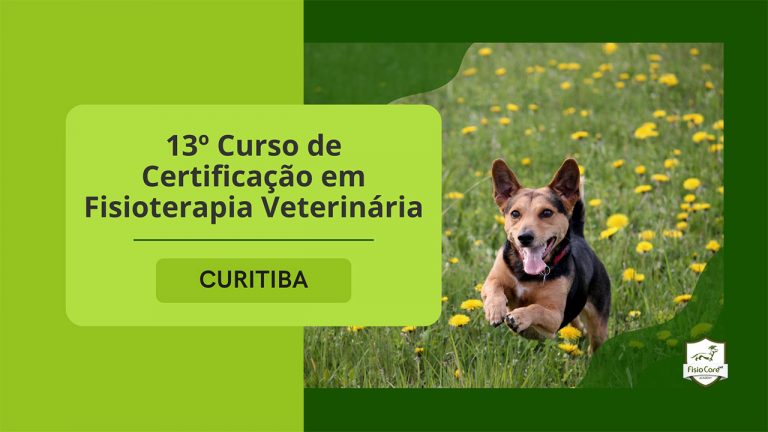 13 Curso de Certificação em Fisioterapia Veterinária Híbrido Curitiba