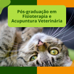 Pós-graduação em Fisioterapia e Acupuntura Veterinária