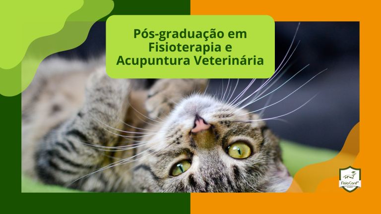 Pós-graduação em fisioterapia e acupuntura veterinária