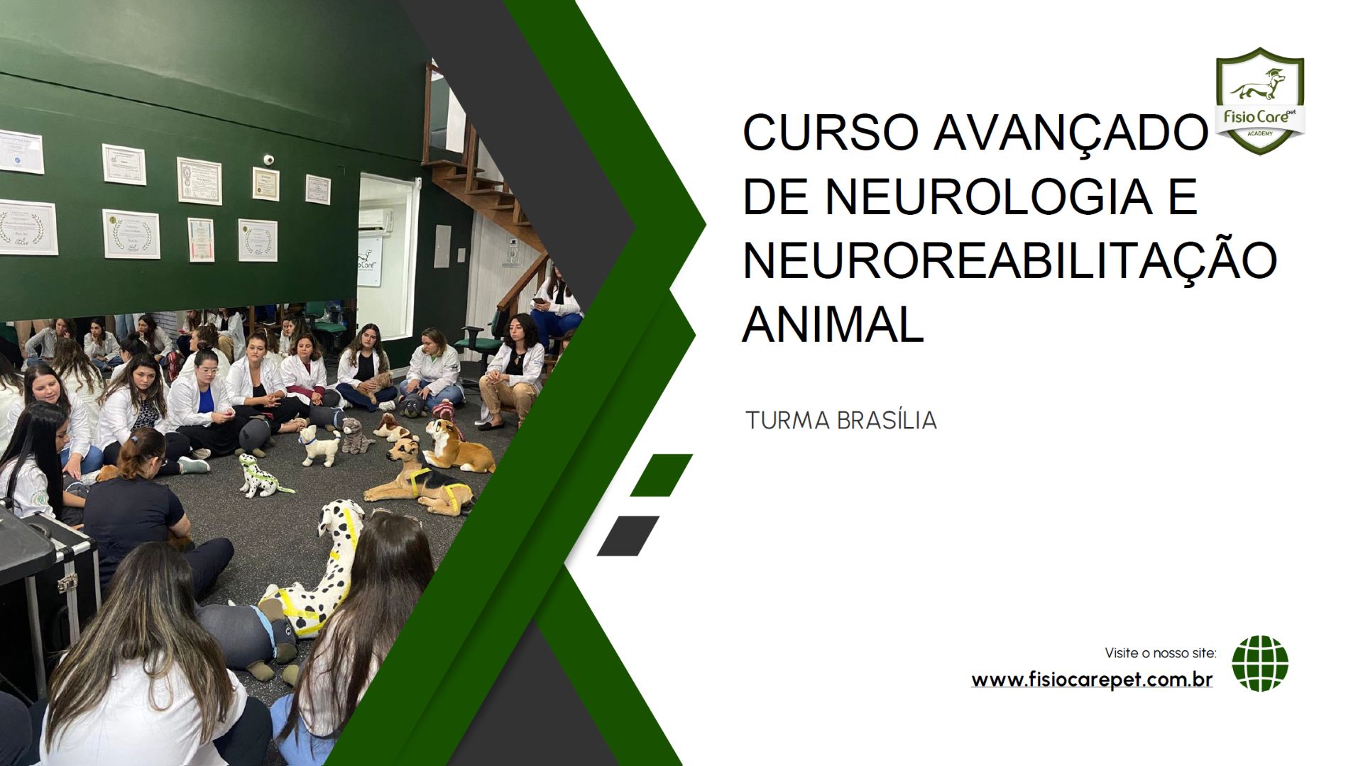 Curso Avançado de Neurologia e Neuroreabilitação Fisio Care - Brasília