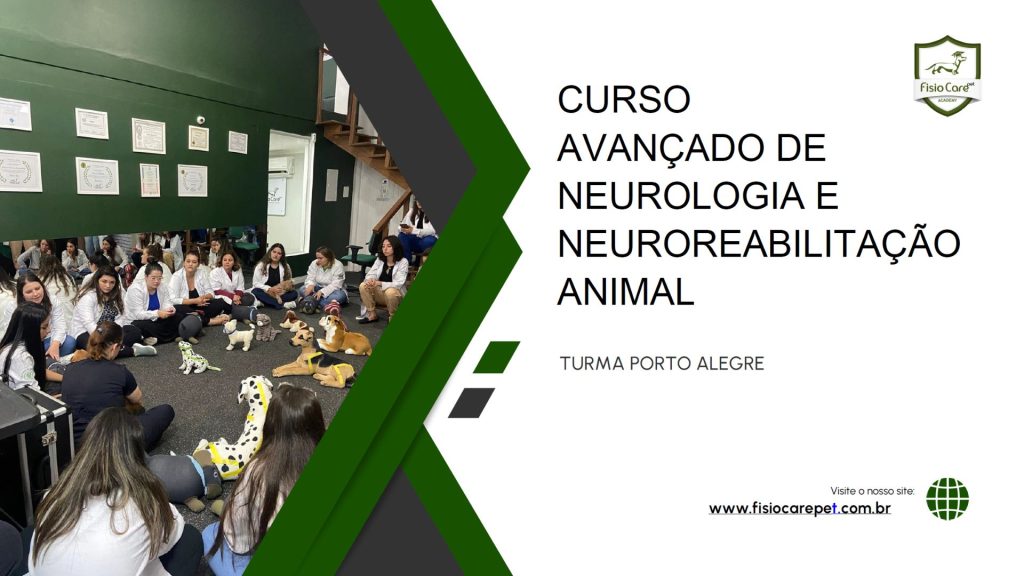 Curso Avançado de Neurologia e Neuroreabilitação Fisio Care - Porto Alegre