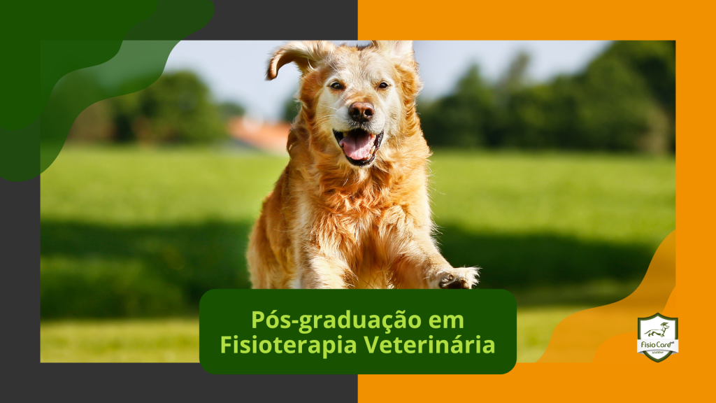 Pós-graduação em Fisioterapia Veterinária