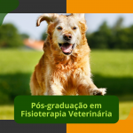 Pós-graduação em Fisioterapia Veterinária