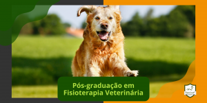 Pós-graduação em Fisioterapia Veterinária