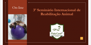 3º Seminario Internacional