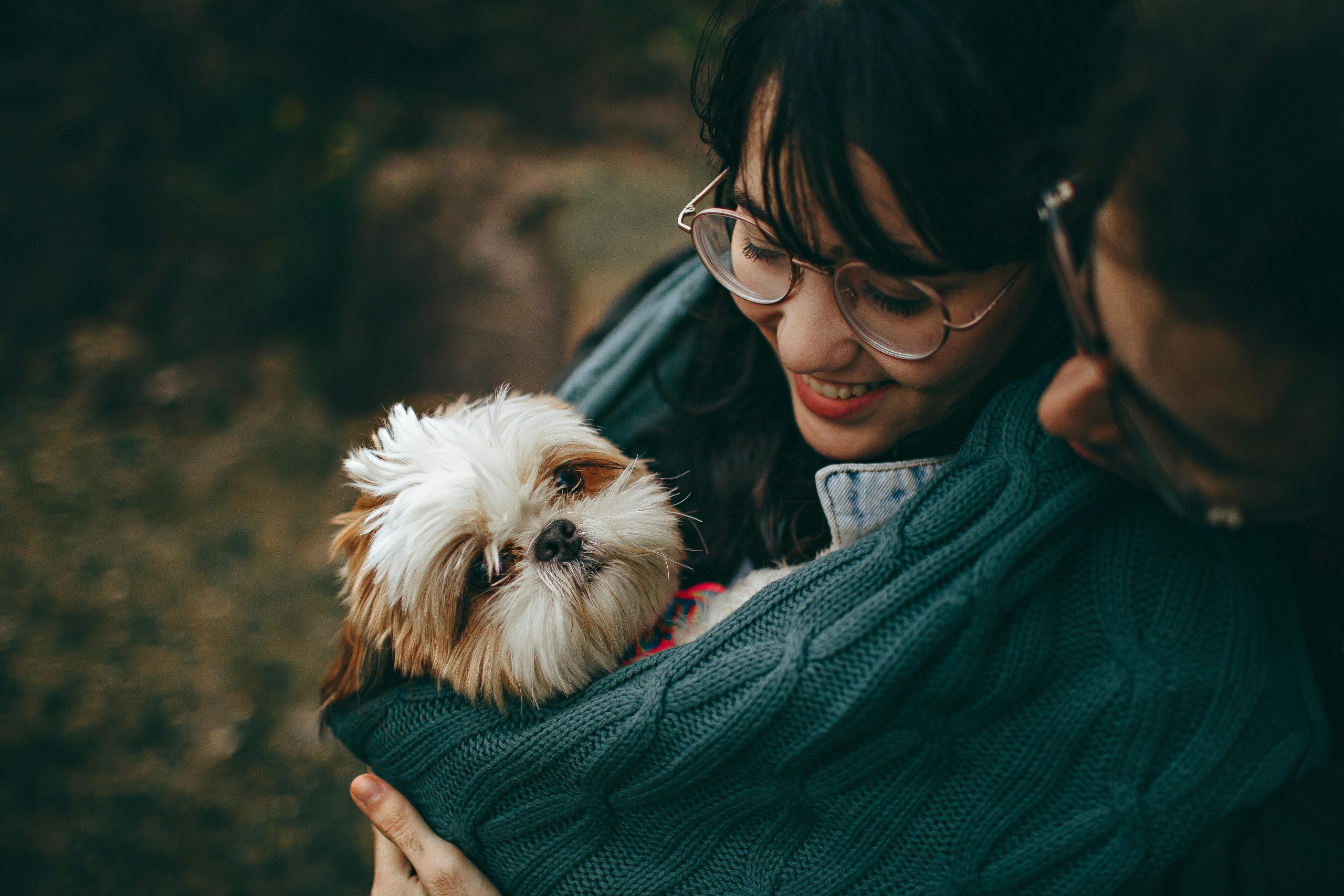 Dicas de cuidado de animais no inverno