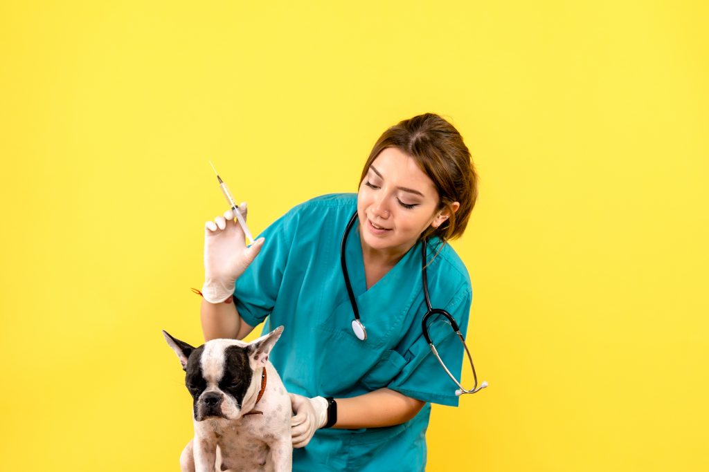 Curso de Fisioterapia Animal em Curitiba com a Fisio Care Pet