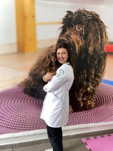 Fisioterapia Animal em Taubaté: Visite a Fisio Care Pet e Conheça Nossos Tratamentos