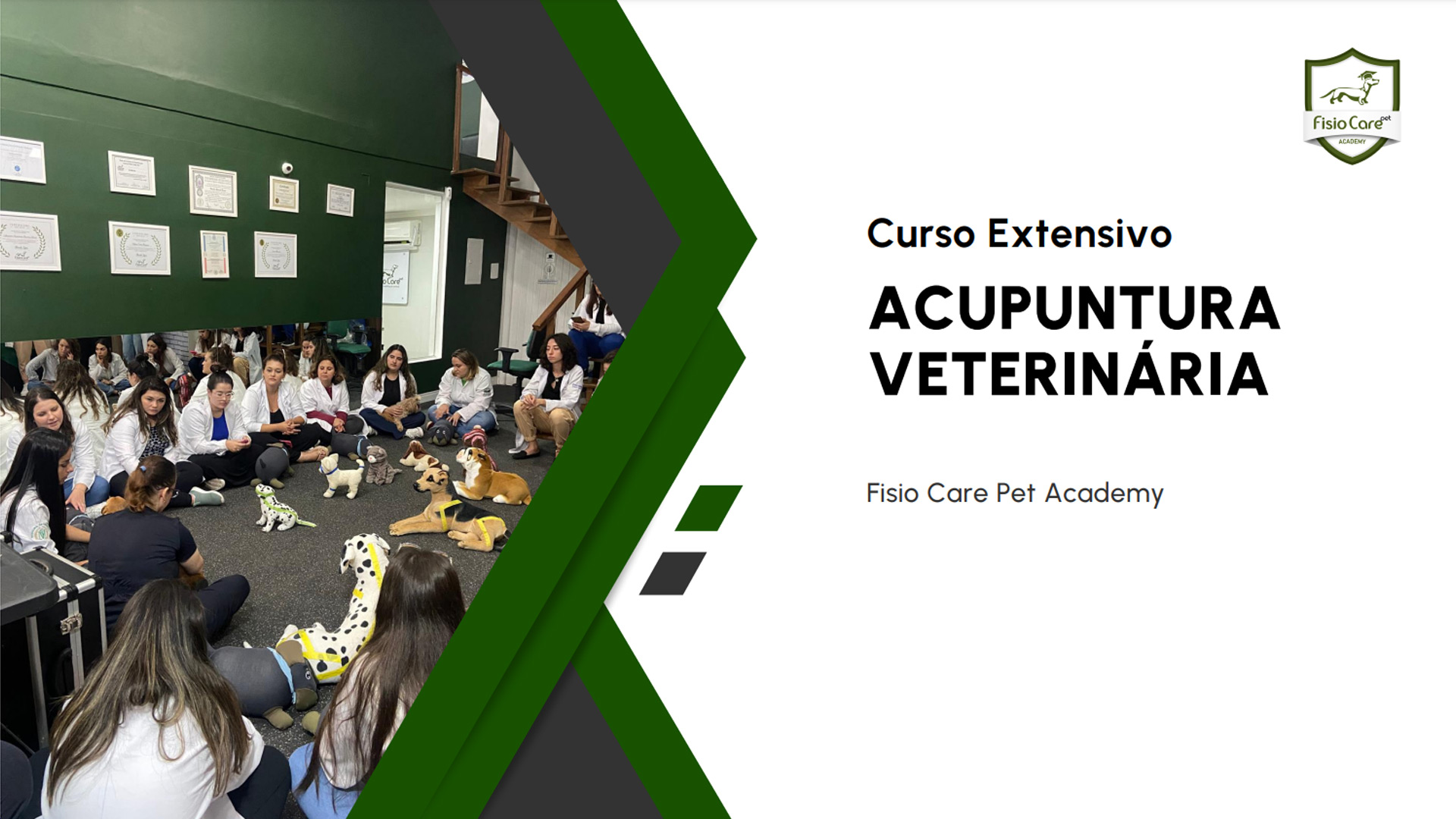 2 Curso Extensivo ACUPUNTURA VETERINÁRIA 2025