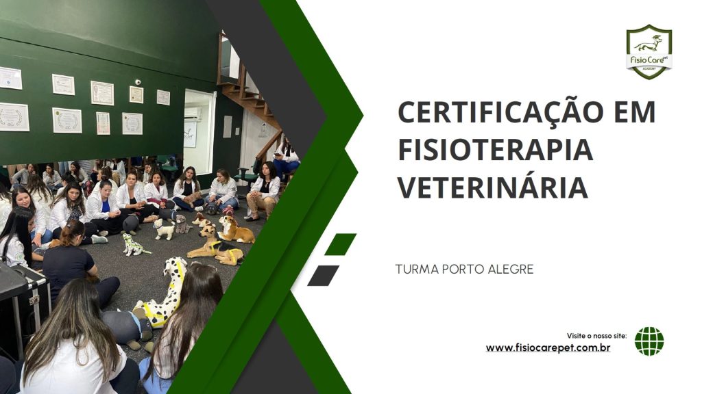 Curso Certificação Fisio Care - Porto Alegre