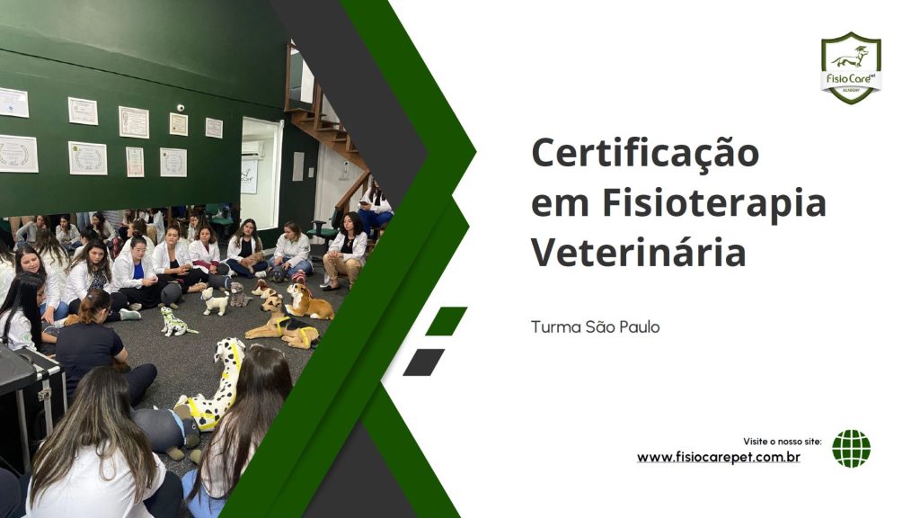 Curso Certificação Fisio Care - São Paulo