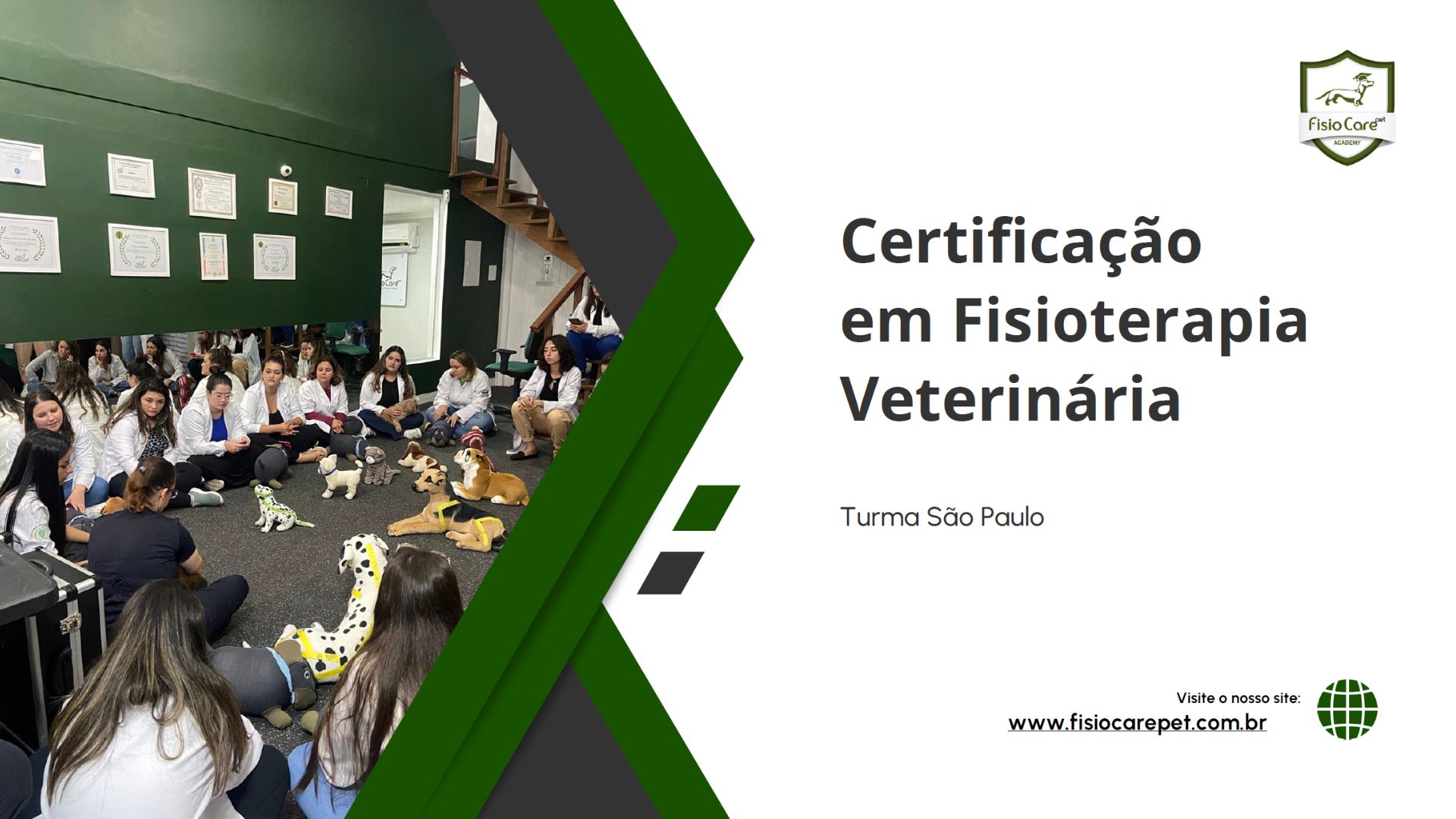 Curso Certificação Fisio Care - São Paulo