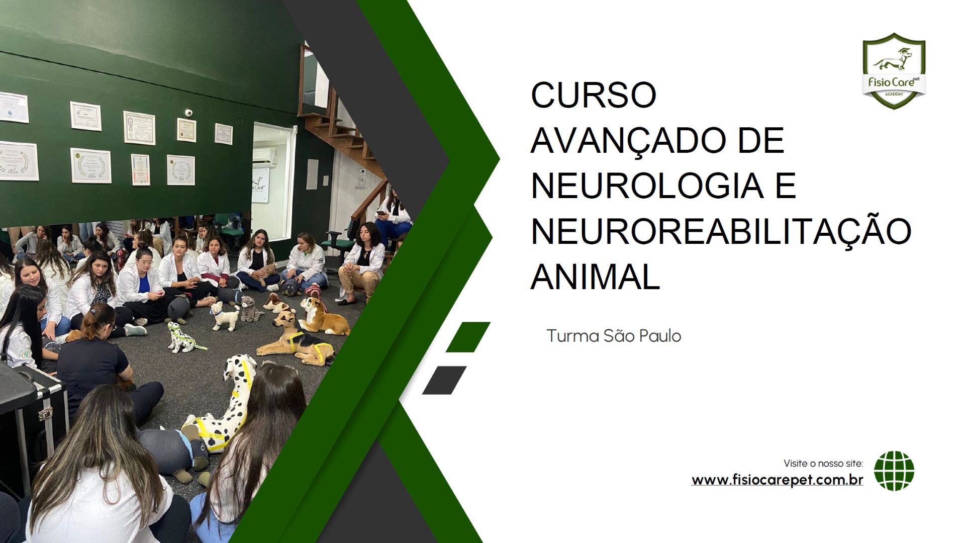 Curso Avançado de Neurologia e Neuroreabilitação Fisio Care - São Paulo
