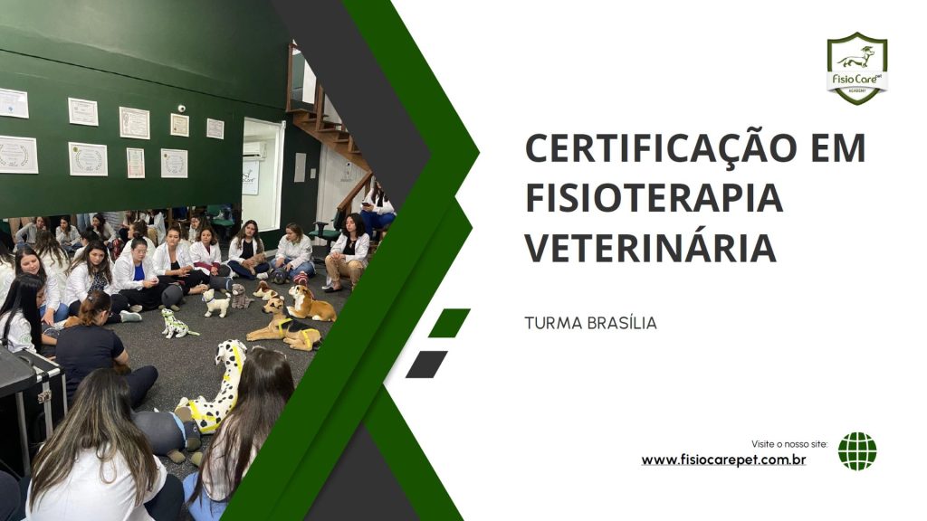 Curso Certificação Fisio Care - Brasília