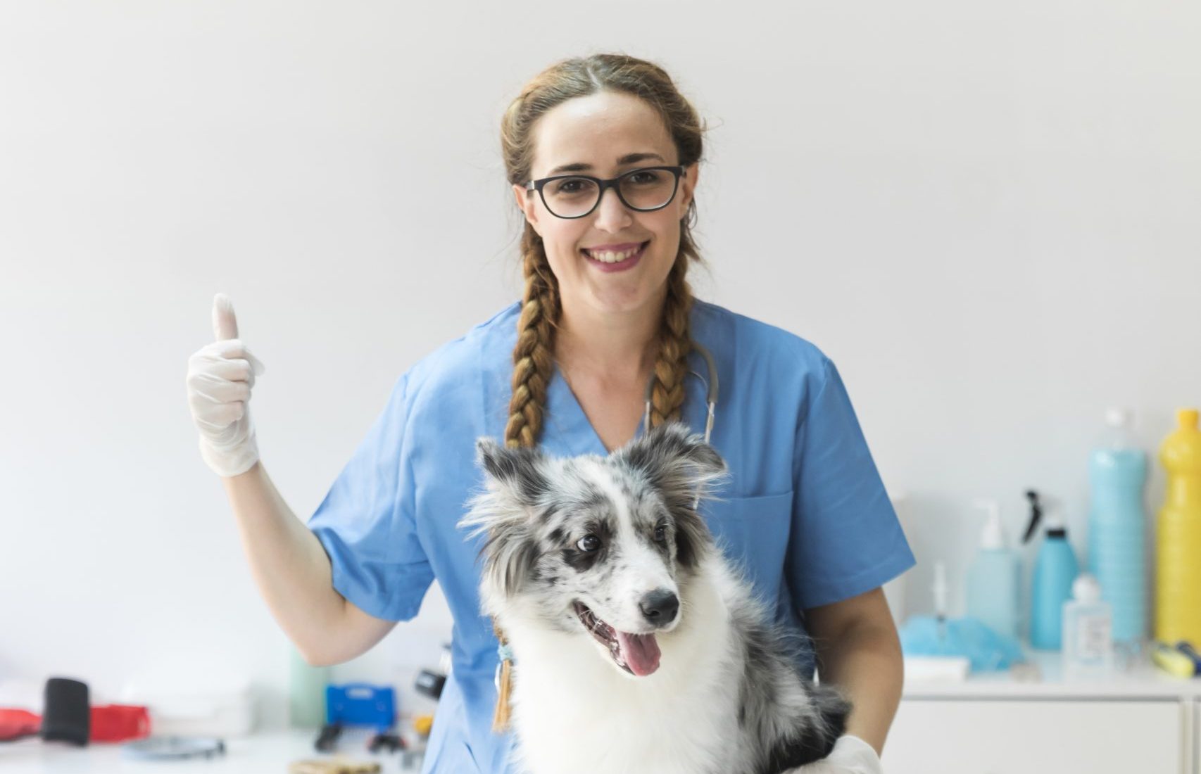 Como Trabalhar com Planos de Saúde na Medicina Veterinária