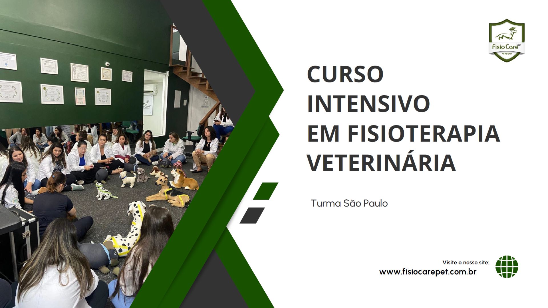 Curso Intensivo em Fisioterapia Veterinária - Fisio Care - São Paulo
