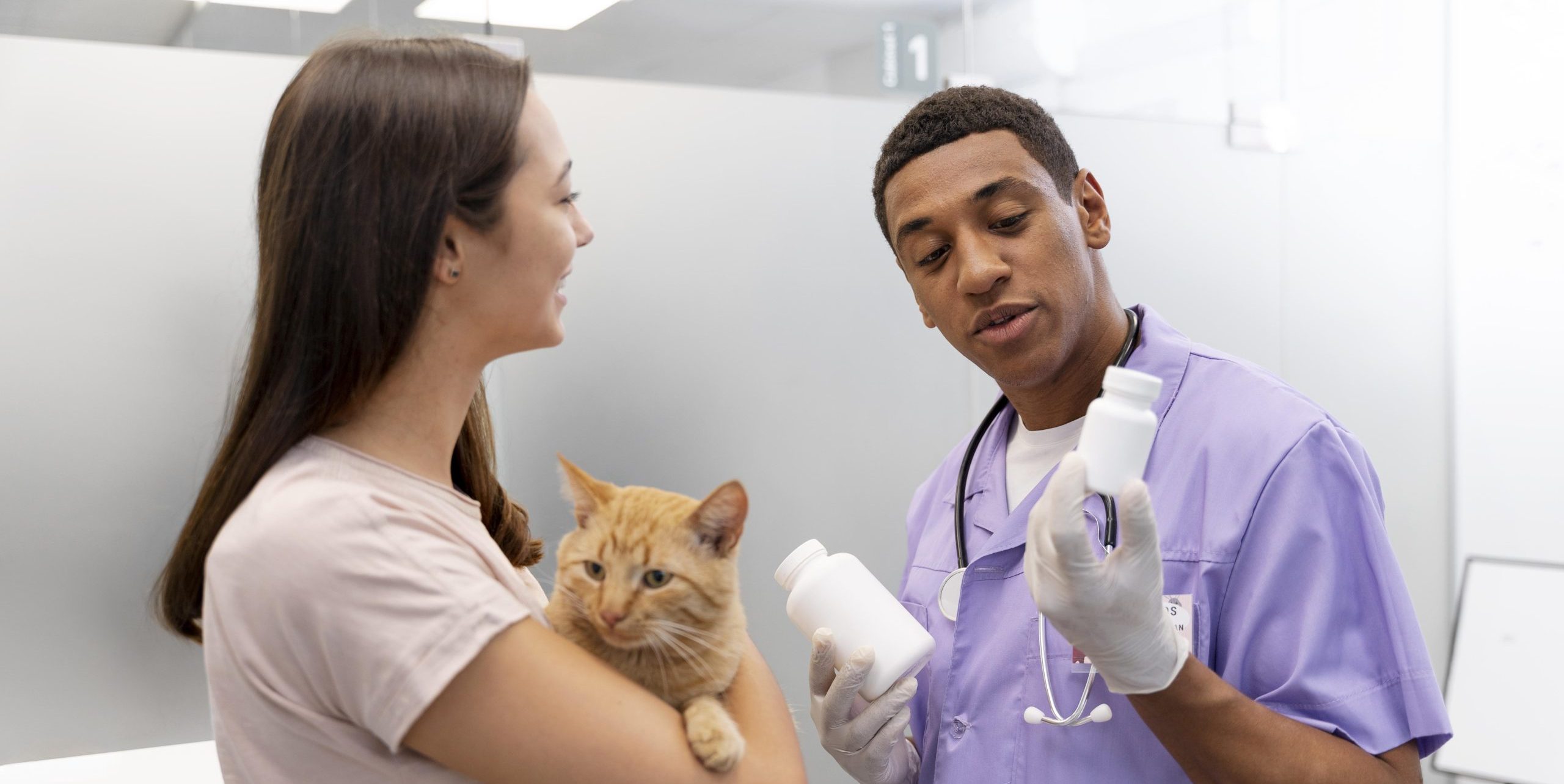 Dia do Médico Veterinário: 3 dicas para um atendimento mais eficiente