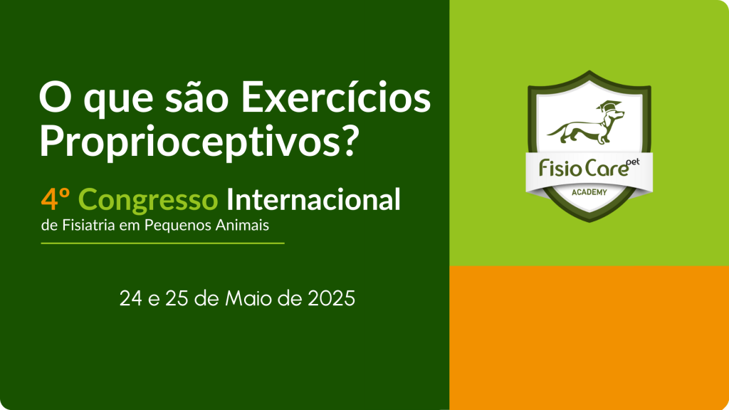 O que são exercícios proprioceptivos?