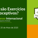 O que são exercícios proprioceptivos?