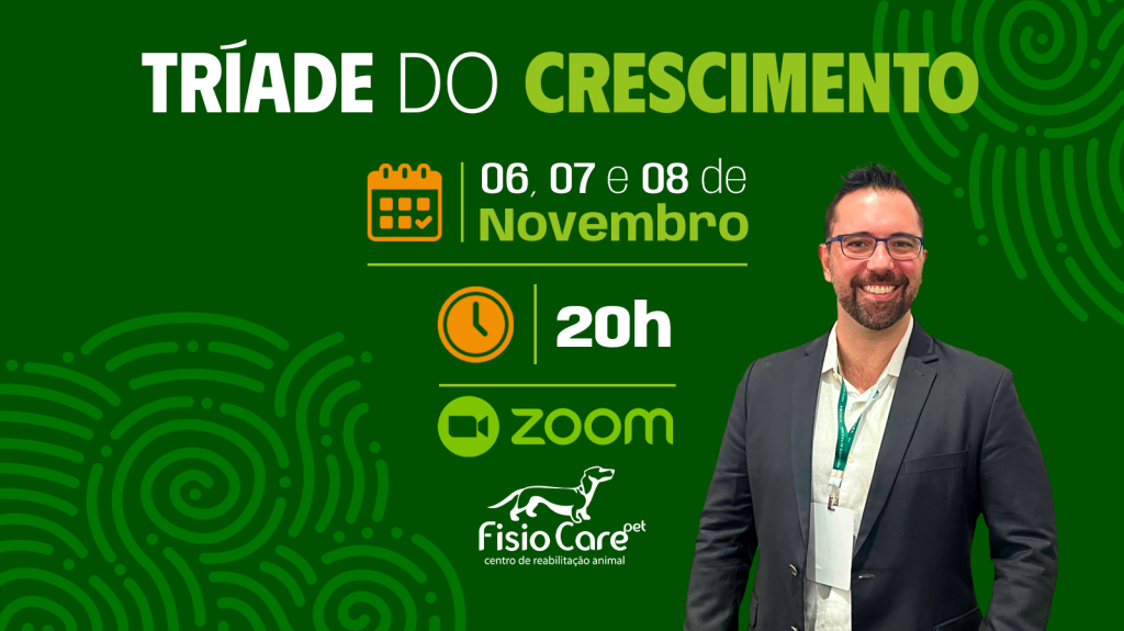 Conheça a Tríade do Crescimento: Cultura, Marketing e Tecnologia