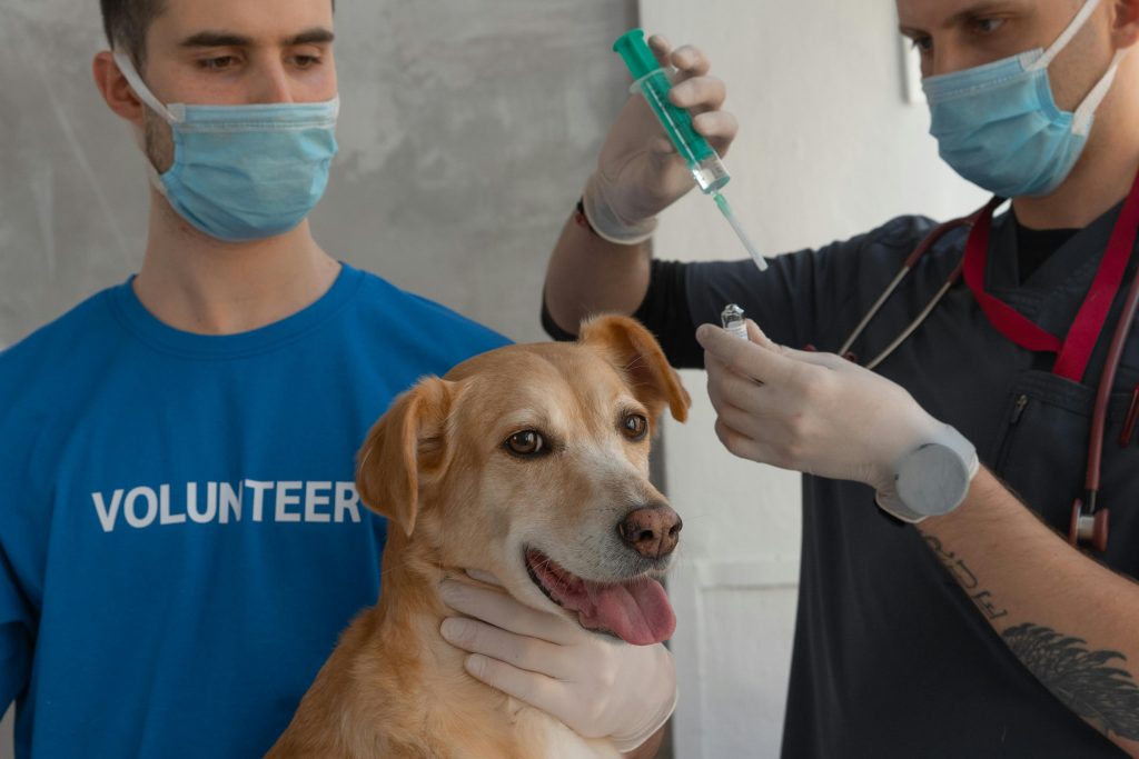 Como Treinamos o Veterinário Responsável pela sua Franquia?