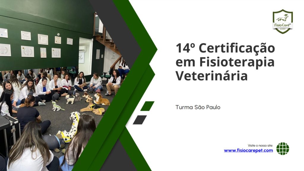 14º Certificação em Fisioterapia Veterinária