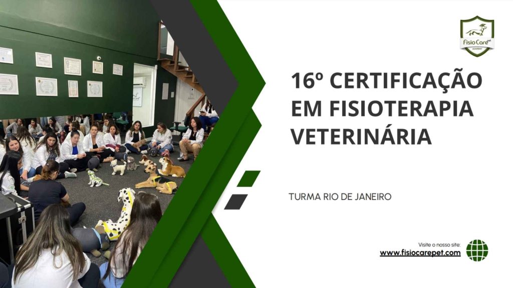 16º Certificação em Fisioterapia Veterinária TURMA RJ