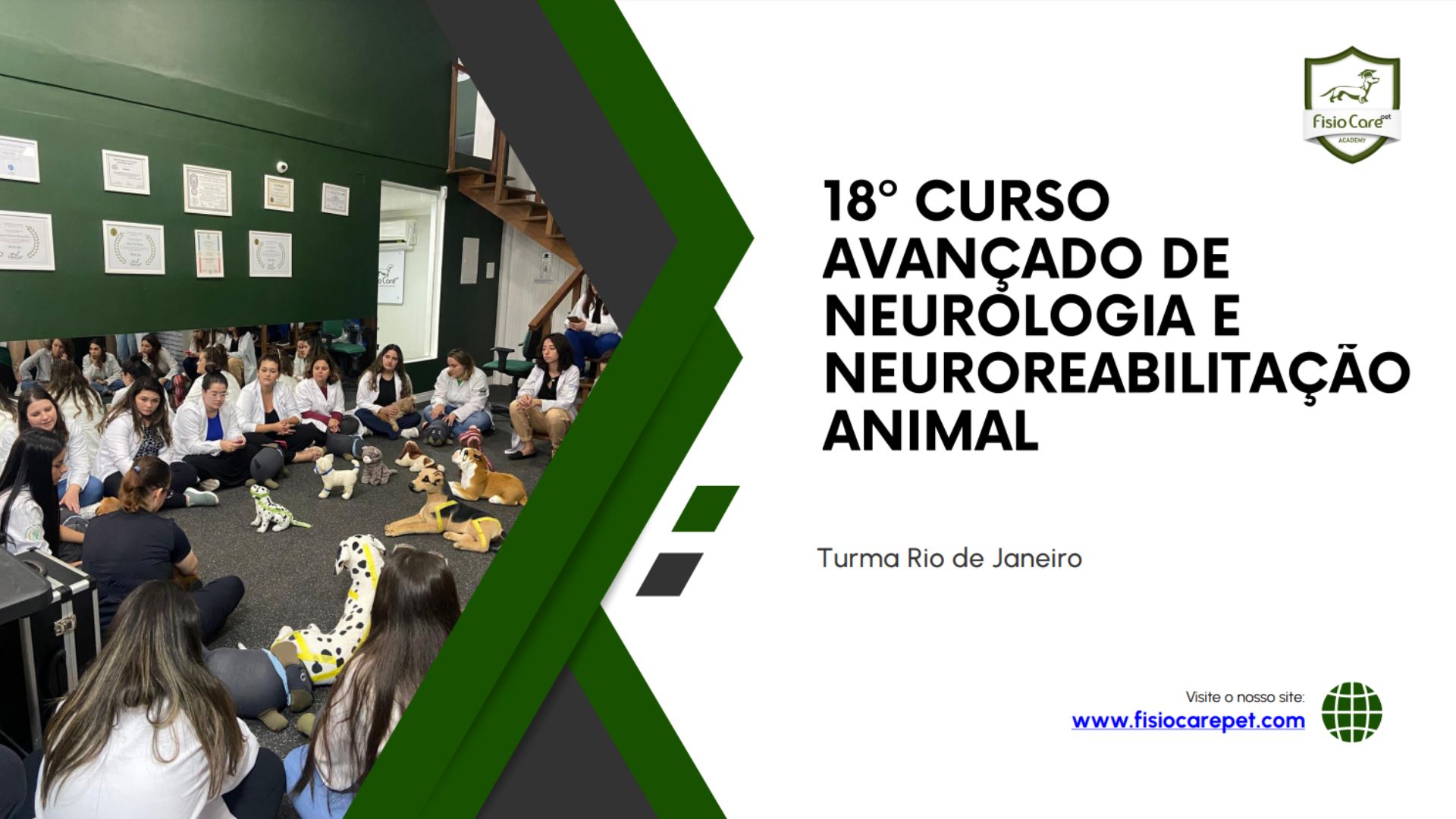 18º curso avançado de neurologia e neuroreabilitação animal