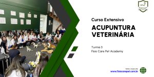 3 Extensivo Acupuntura