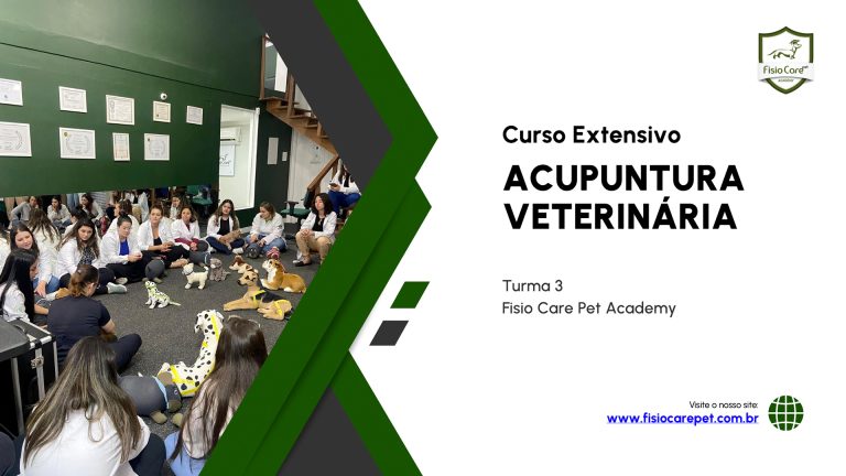 3 Extensivo Acupuntura