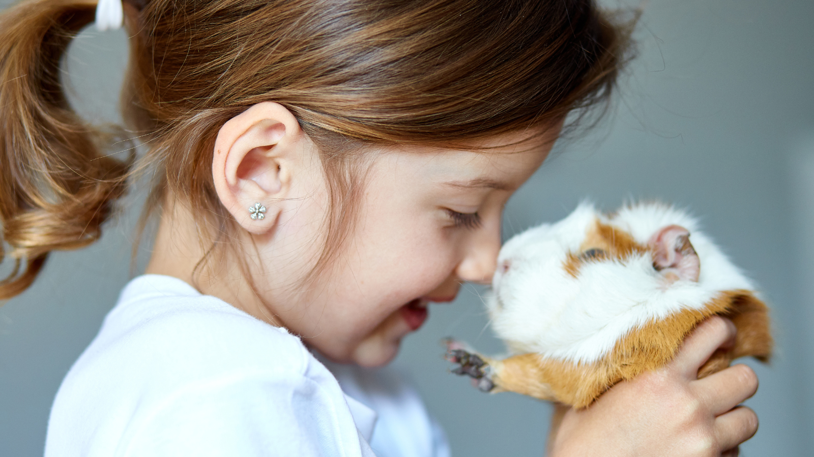 Crianças e pets: o segredo para garantir uma convivência segura
