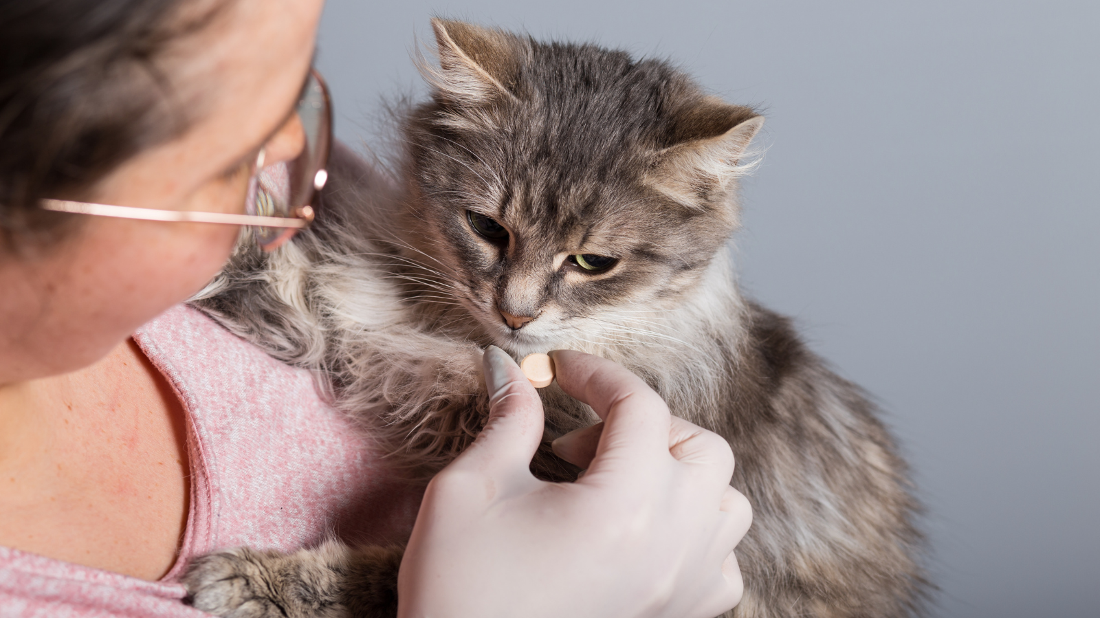 Vermífugos para pets: saiba tudo para proteger seu companheiro