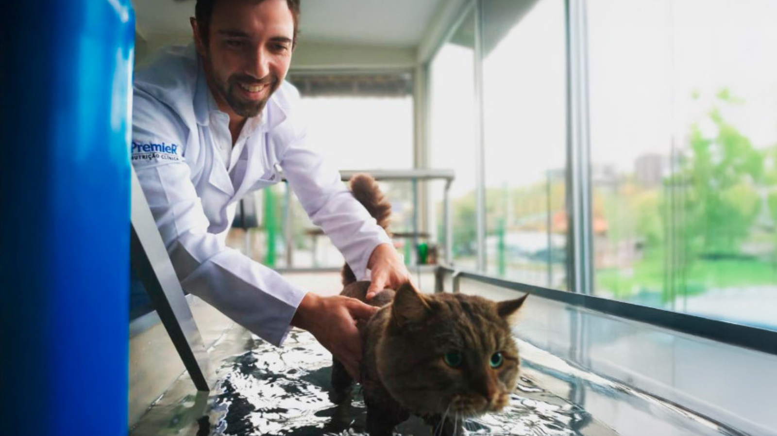 Dia do Fisiatria Veterinário: 3 benefícios inegáveis da fisioterapia para pets